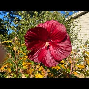 Meet your Posher, Amrita